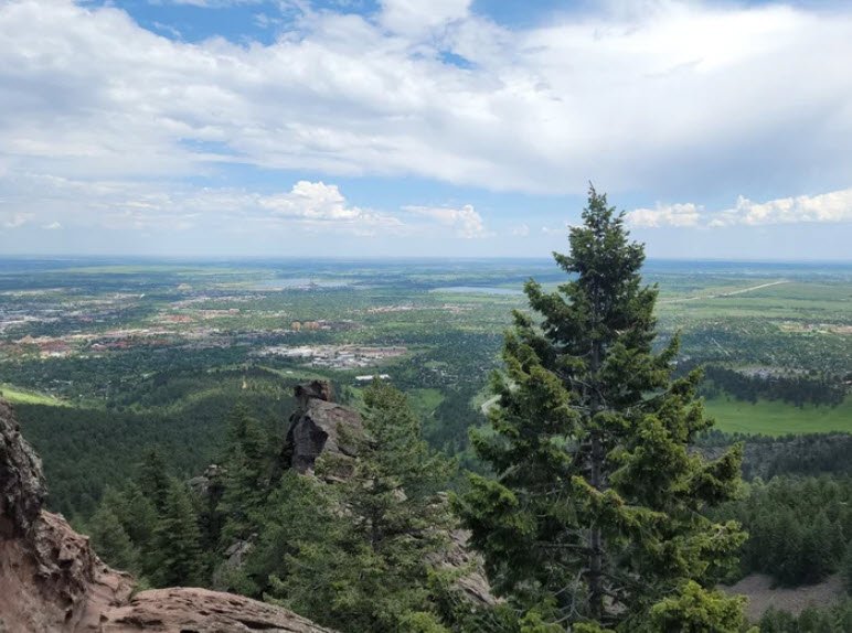 Andrews Arboretum, United States